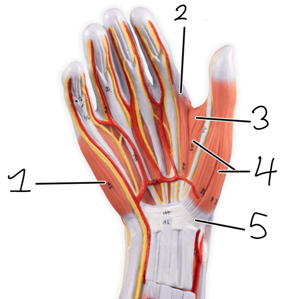<p>1</p>