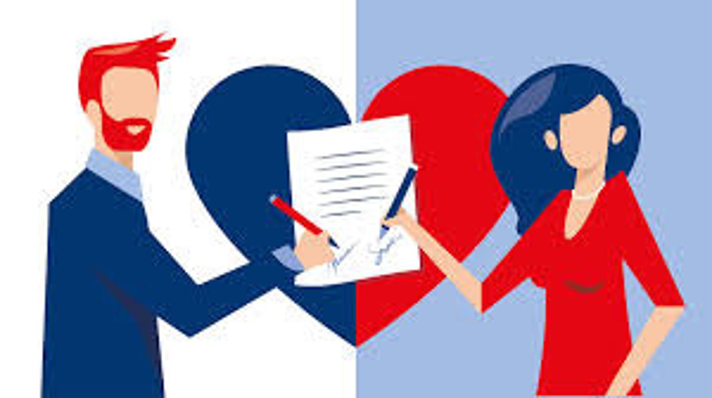<p>civil partnership</p>