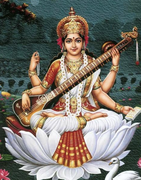 <ol><li><p><span>Vahana (vehicle) is mostly a swan some representations have a peacock</span></p></li><li><p><span>holds a book (pothi) or a veena </span></p></li></ol>