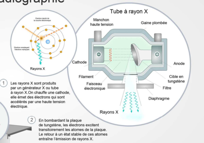 <p>On a le filament métallique d’une cathode qui est chauffé et de l’autre côté on retrouve une anode avec une cible en tungstène.</p><p>La différence de tension et le fait que la cathode soit chauffée fait que les électrons des couches externes de la cathode vont être excités et par différence de potentiel, ils vont être attirés vers l’anode. Sur le chemin ils vont traverser un gaz, ce qui génère des rayonnements de freinage. Puis en frappant la cible en tungstène de l’anode, ça va générer des rayons X de fluorescence  </p><p></p>