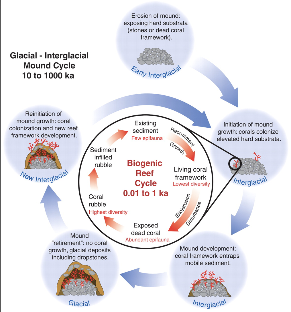 <p>Biogenic and glacial</p>