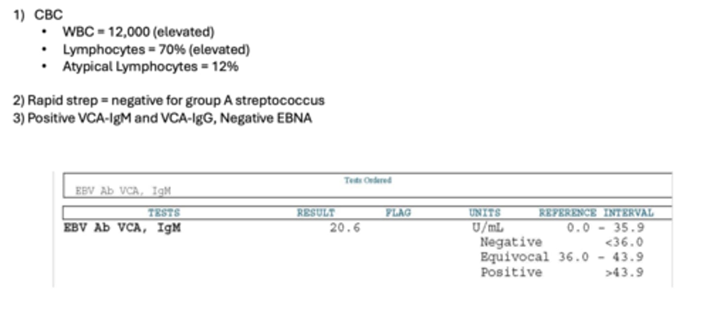 <p>what is the diagnosis</p>