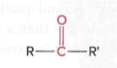 <p>a carbonyl group (a carbon atom double-bonded to an oxygen atom) with R groups attached to the carbonyl carbon</p>