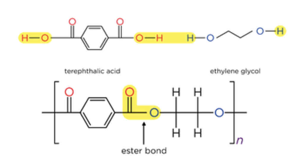 <p>ester bond</p>