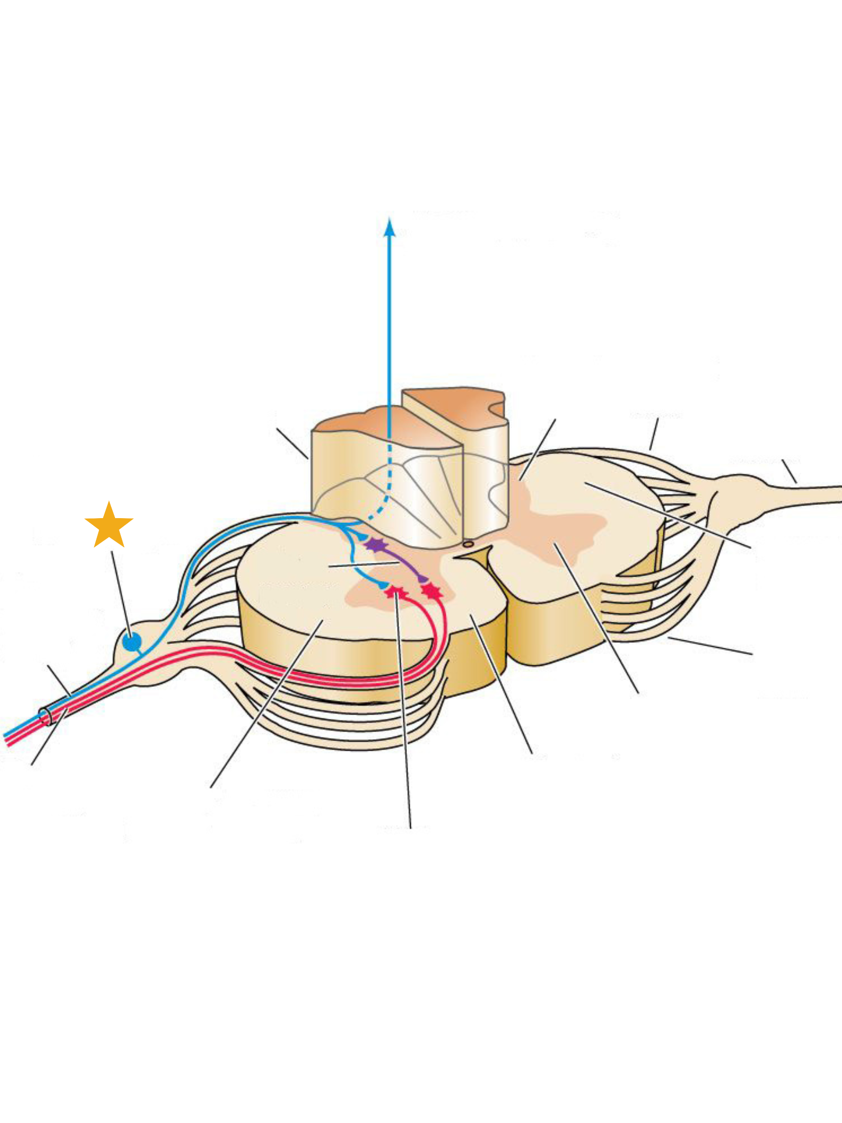 <p>What is this structure?</p>