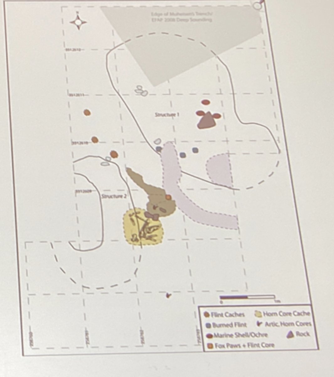 <p>-Jordan<br>-20KYA<br>-Natufians<br>-Sub-floor burials,, grinding stone, storage pits, baking ovens<br>-burned at abandonment</p>