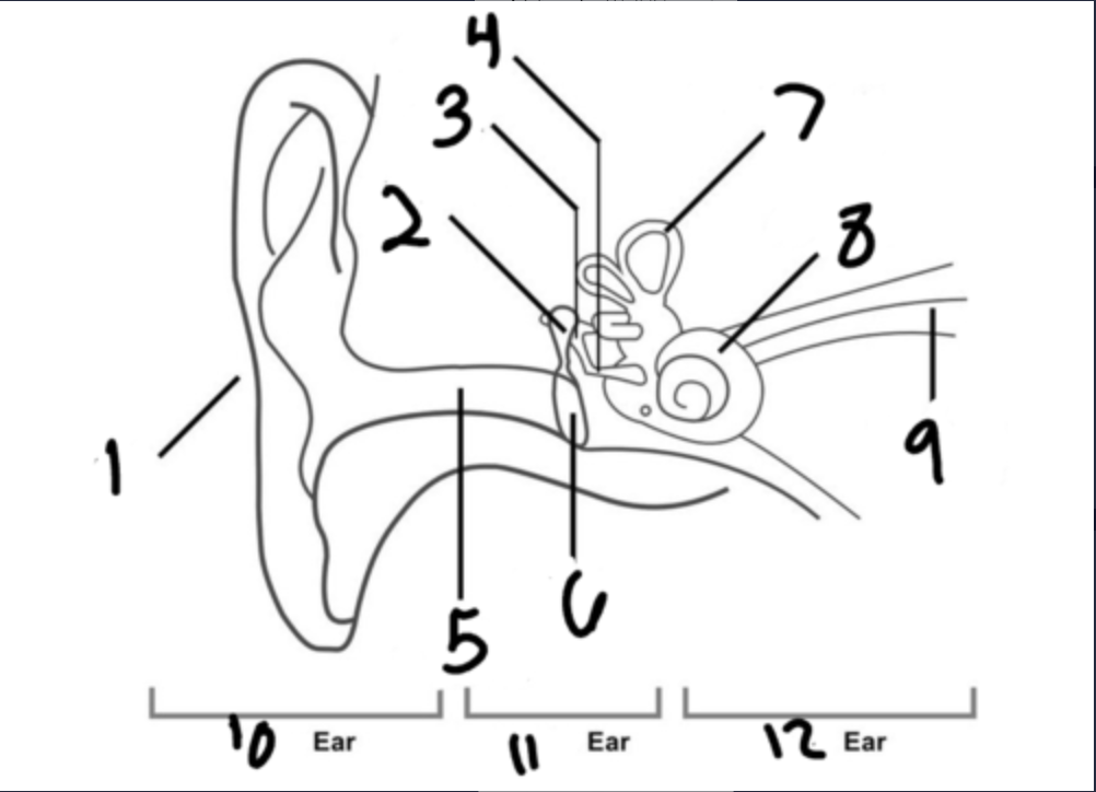 <p>2</p>
