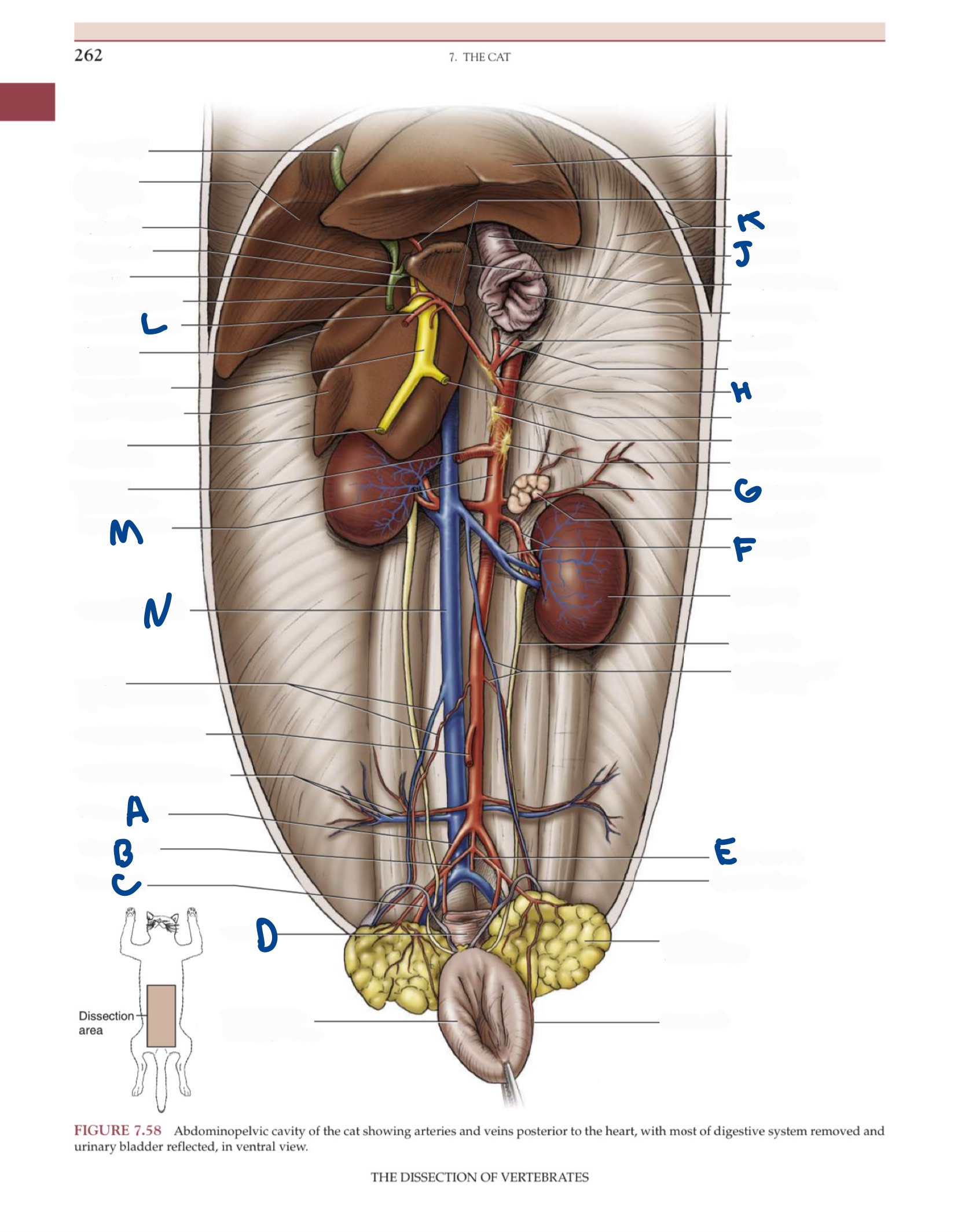 <p>What is N?</p>