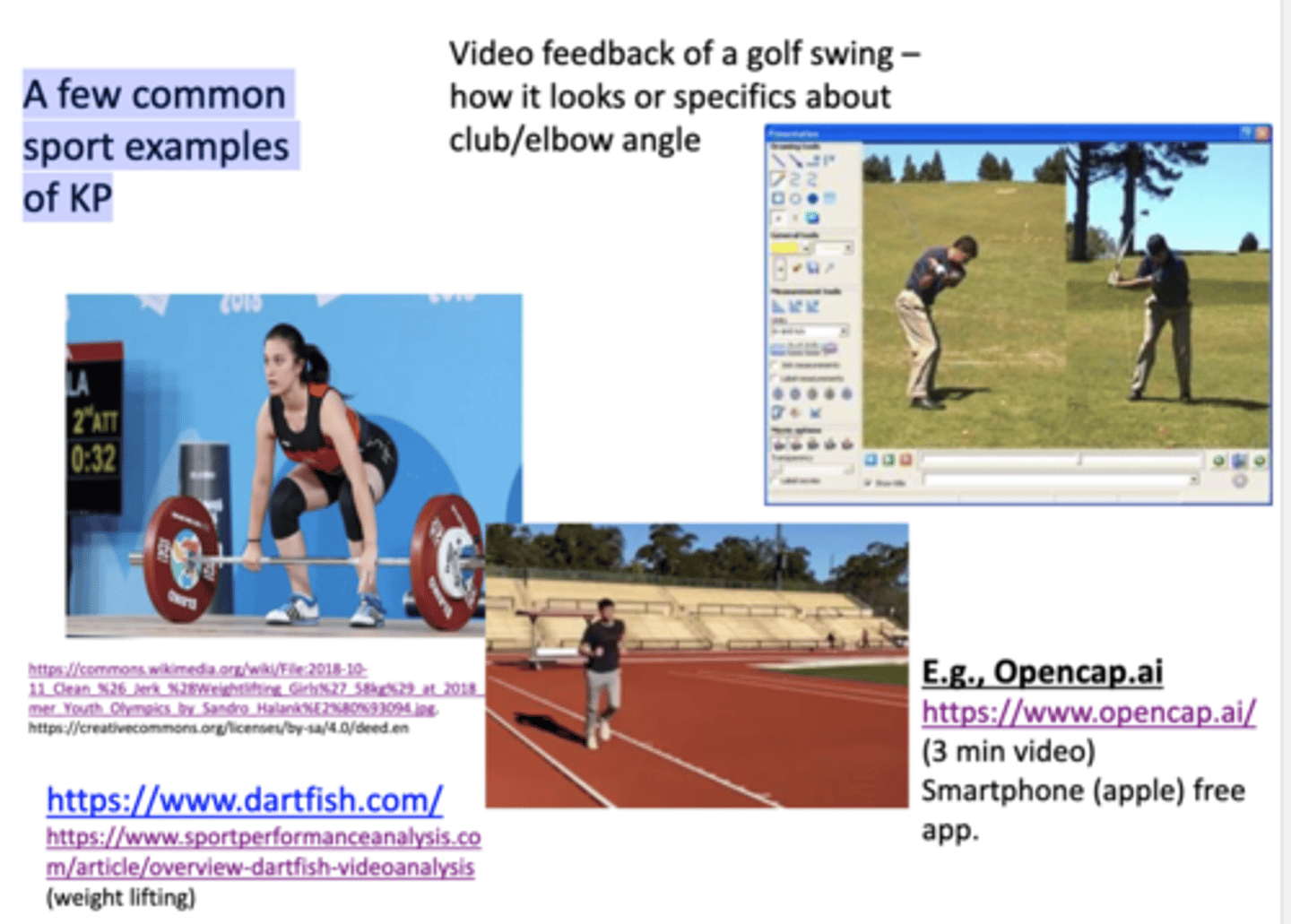 <p>dartfish, ironpath</p>