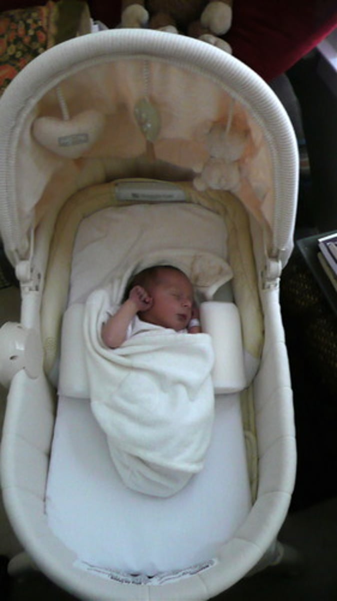 <p>a basket (usually hooded) used as a baby's bed</p>