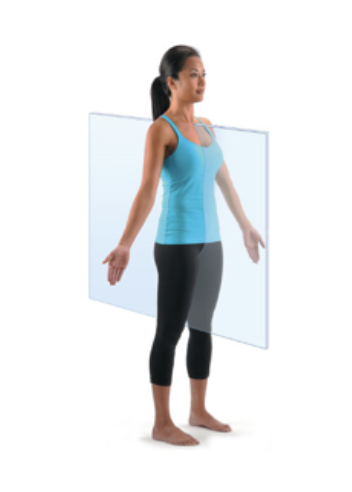 <p>vertical plane that divides the body into right and left sections</p>