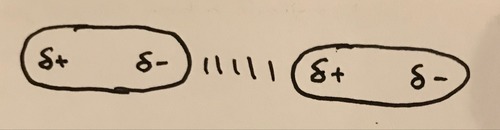 The random movement of electrons causes an instantaneous dipole across the molecule which indices a dipole in neighbouring molecules resulting in weak forces of attraction