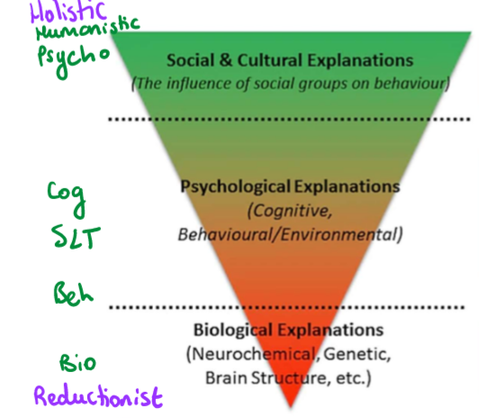 <p><span style="line-height: 20.85px;"><span>This debate is an argument on whether human behaviour is best explained by breaking it down into smaller constituent parts, or by looking at the whole person and considering multiple factors.&nbsp;</span></span></p><p></p><p><span style="line-height: 20.85px;"><strong><u><mark data-color="#b1d9ee" style="background-color: rgb(177, 217, 238); color: inherit;"><span>Holism:</span></mark></u></strong></span></p><p class="Paragraph SCXW134951646 BCX0" style="text-align: left;"><span style="line-height: 20.85px;"><span>Holism is the view that behaviour should be understood as a whole system rather than reduced to individual components. For example, the humanistic approach views individuals as whole beings and emphasises the interconnectedness of experiences, emotions and values.</span></span></p><p class="Paragraph SCXW134951646 BCX0" style="text-align: left;"></p><p class="Paragraph SCXW134951646 BCX0" style="text-align: left;"><span style="line-height: 20.85px;"><strong><u><mark data-color="#efa9a9" style="background-color: rgb(239, 169, 169); color: inherit;"><span>Reductionism:&nbsp;</span></mark></u></strong></span></p><p class="Paragraph SCXW134951646 BCX0" style="text-align: left;"><span style="line-height: 20.85px;"><span>In contrast, reductionism is the belief that human behaviour can be best explained by breaking it down into smaller, constituent parts.</span></span></p><p class="Paragraph SCXW134951646 BCX0" style="text-align: left;"><span style="line-height: 20.85px;"><span>Reductionism can be divided into biological and environmental forms. Biological reductionism explains behaviour in terms of physiological processes, such as genetics, neurochemistry, and brain structure. Environmental reductionism, associated with the behaviourist approach, reduces behaviour to stimulus-response associations, such as learning through classical or operant conditioning.&nbsp;</span></span></p><p class="Paragraph SCXW134951646 BCX0" style="text-align: left;"></p><p class="Paragraph SCXW134951646 BCX0" style="text-align: left;"><strong><u><mark data-color="#bf90e4" style="background-color: rgb(191, 144, 228); color: inherit;">Levels of explanation:</mark></u></strong></p><p class="Paragraph SCXW134951646 BCX0" style="text-align: left;">See image attached.</p><p class="Paragraph SCXW134951646 BCX0" style="text-align: left;"><span style="line-height: 20.85px;"><span>Psychologists often refer to “levels of explanation” to illustrate how behaviour can be understood at varying degrees of complexity, for example, the cause of OCD may be understood in many different ways.&nbsp;&nbsp;</span></span></p><p class="Paragraph SCXW134951646 BCX0" style="text-align: left;"><span style="line-height: 20.85px;"><span>In the levels of explanation hierarchy, the lowest level of explanation is extreme reductionism. This level is biological explanations and the biological approach exemplifies this level. This level would explain OCD in terms of underproduction of serotonin and hypersensitivity in the basal ganglia.&nbsp;</span></span></p><p class="Paragraph SCXW134951646 BCX0" style="text-align: left;"><span style="line-height: 20.85px;"><span>The mid-level is psychological explanations, where cognitive, behavioural and environmental explanations fall. The cognitive approach exemplifies this level because it is machine reductionist and simplifies complex mental processes into their simplest parts, like how a machine works. In terms of OCD, this level would focus on how obsessive thoughts lead to compulsions being acted out in order to gain relief.&nbsp;&nbsp;</span></span></p><p class="Paragraph SCXW134951646 BCX0" style="text-align: left;"><span style="line-height: 20.85px;"><span>The high-level is social and cultural explanations, which focuses on the influence of social groups on behaviour. This level is holistic, and can be exemplified by the humanistic approach. Here, OCD would be understood as socially abnormal behaviour (e.g. repetitive handwashing).&nbsp;</span></span></p>