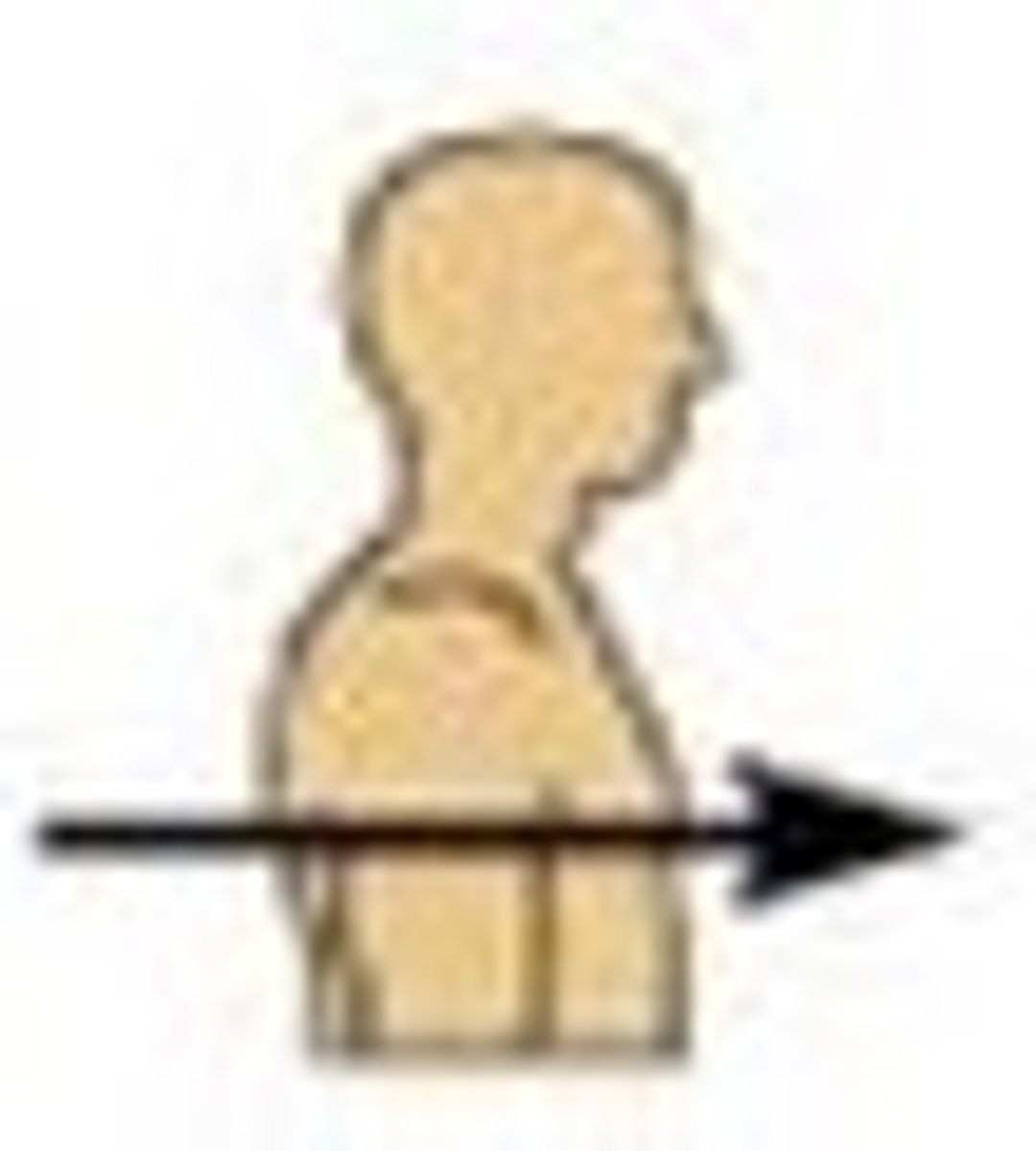 <p>Toward or at the front of the body; in front of</p>