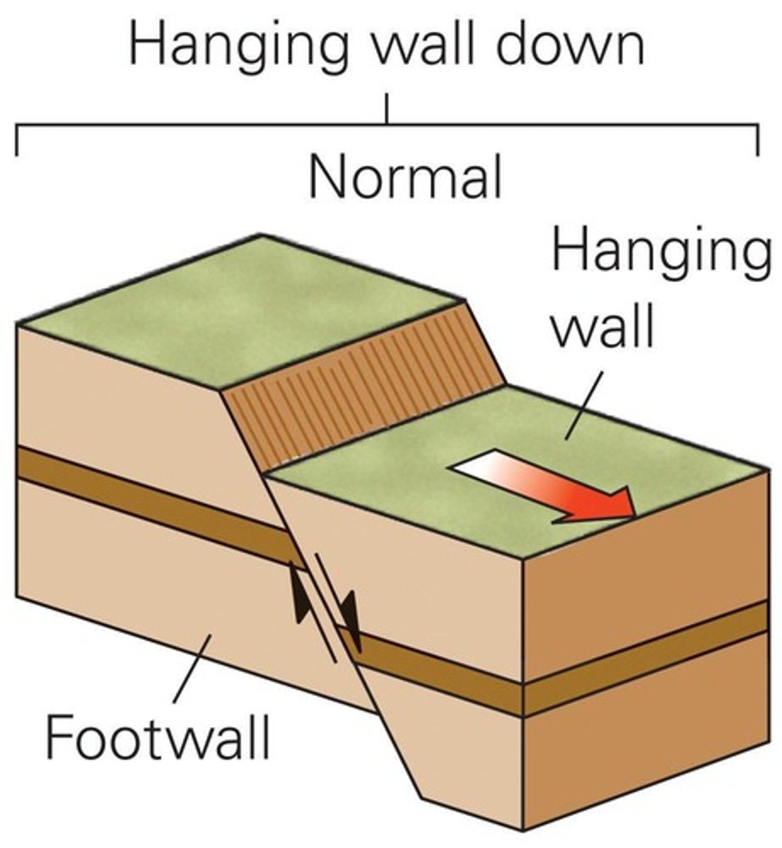 <p>A type of dip-slip fault where the hanging wall moves down relative to the foot wall.</p>