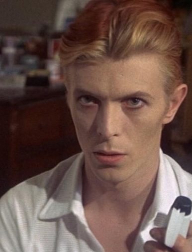 <p>The Man Who Fell to Earth</p>