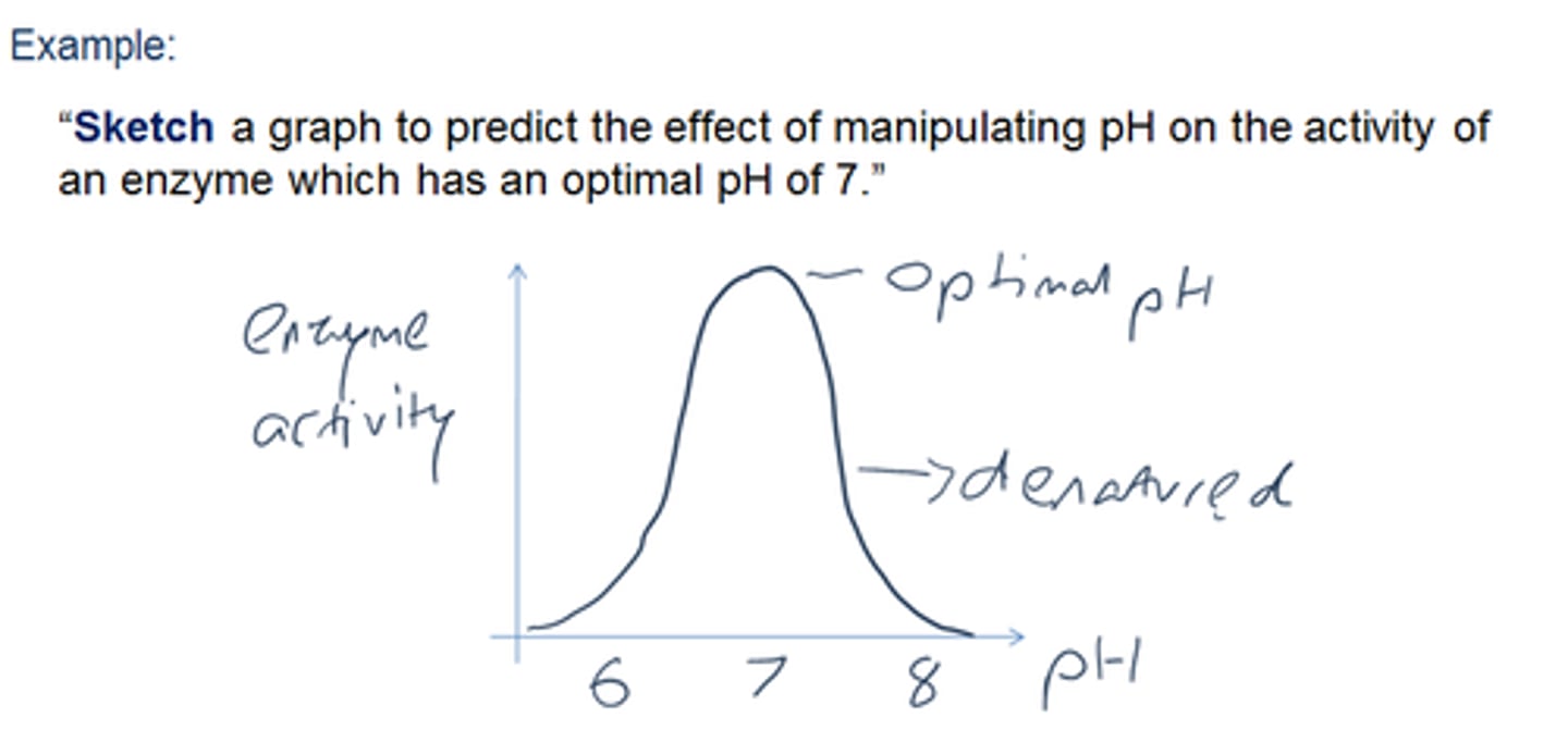 <p>Represent by means of a graph showing a line and labelled but unscaled axes but with important feature (for example, intercept) clearly indicated</p>