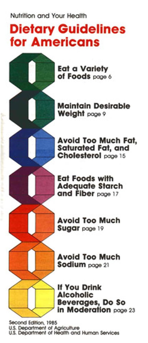 <p>(adj) chi tiết</p>