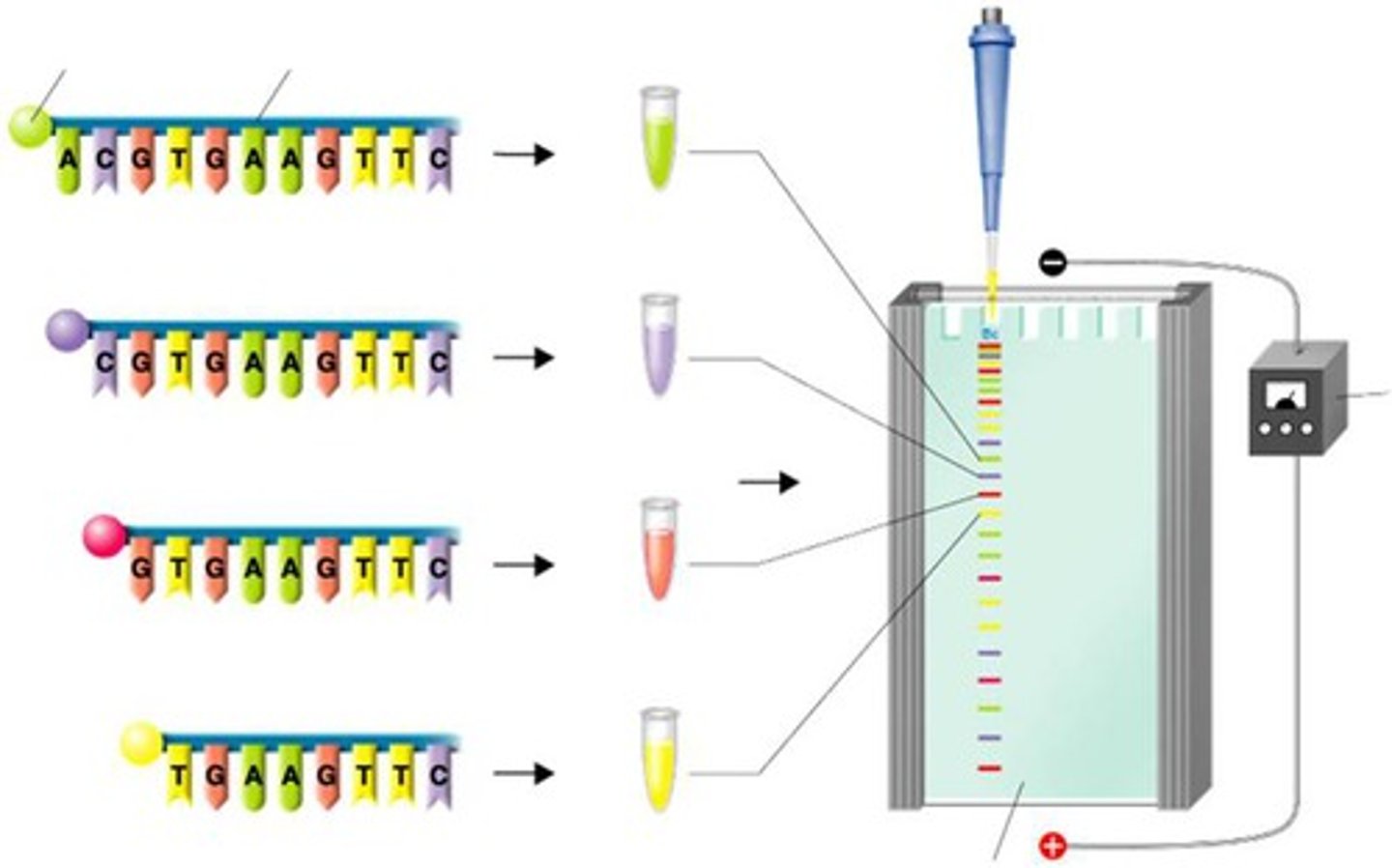 <p>chemical data including DNA, RNA, and protein sequences</p>