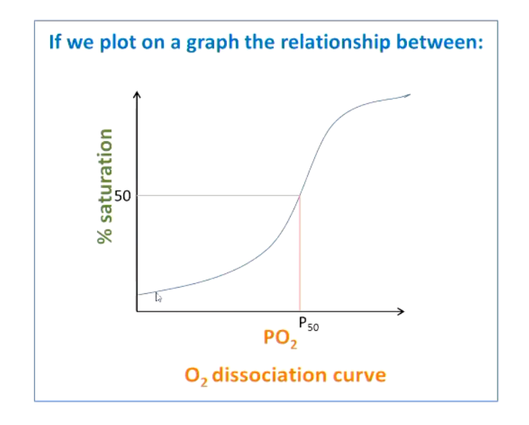 <p><span><span>P50 = the partial pressure of O2 at which 50% of pigment is bound to O2</span></span></p>