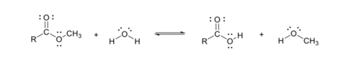 <p>ester reacts with H2O to produce a carboxylic acid and an alcohol</p>