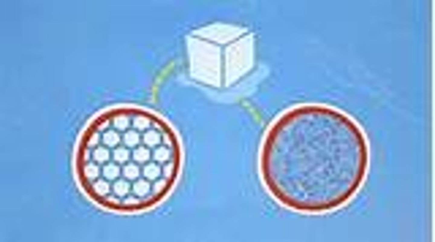 <p>When water freezes, the hydrogen bonds form crystal lattices that are spacious. (The H-bonds in liquid water are constantly forming and breaking...) This makes ice less dense than water, so it floats</p>