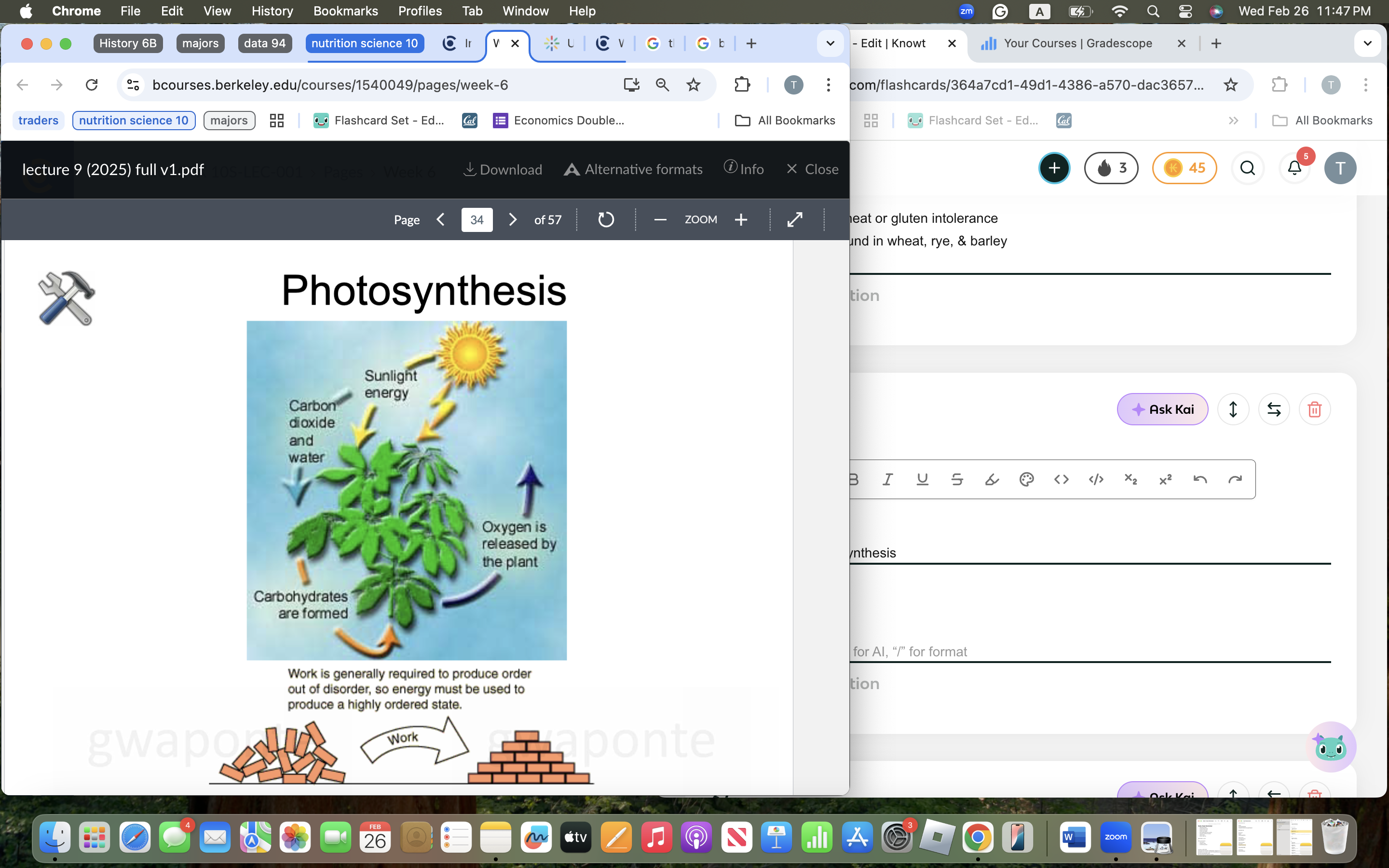 knowt flashcard image