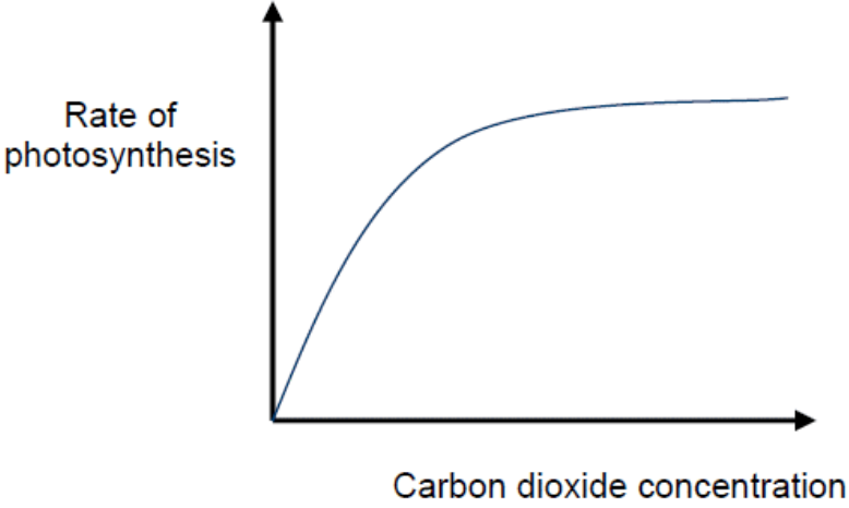 graph of how carbon dioxide concentration affects the rate of photosynthesis