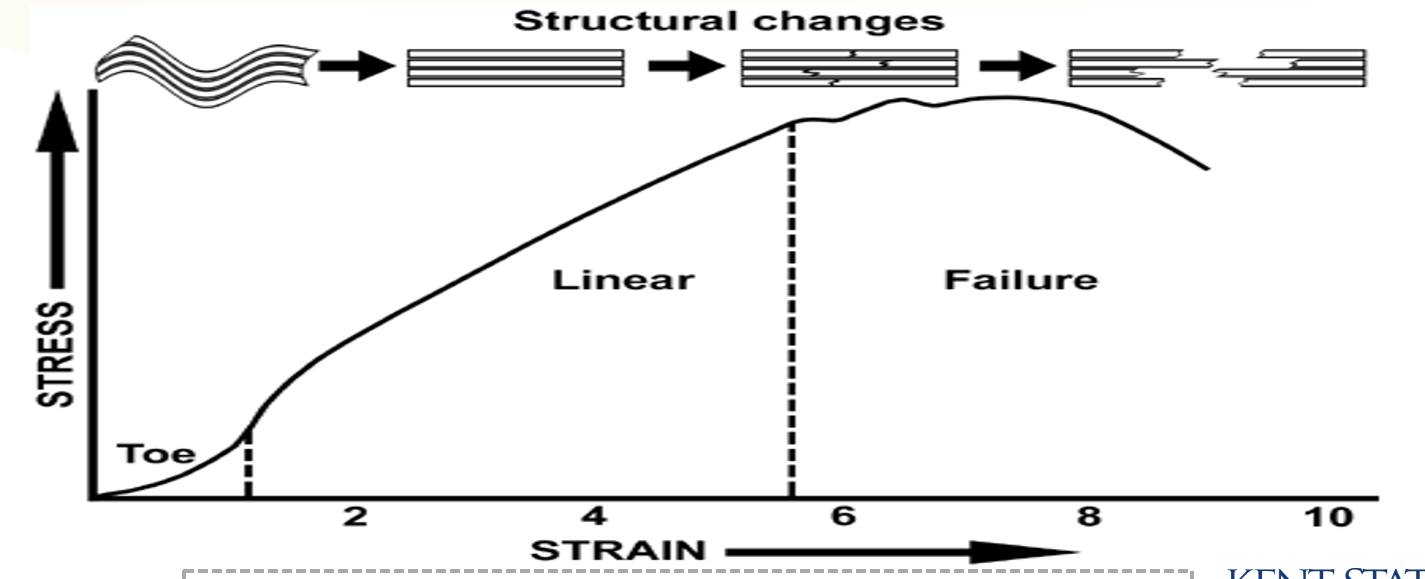<p>What is the Load Elongation - Stress Strain Curve showing?</p>