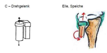 <p>Drehgelenk</p><ul><li><p>zbsp.: Elle,Speiche</p></li></ul><p></p>
