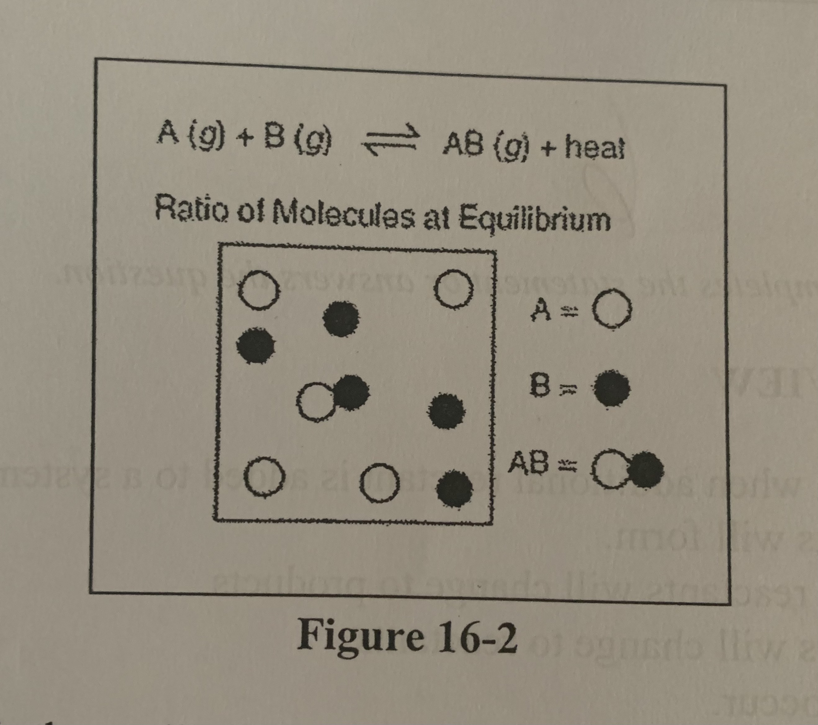 <p>How would a reduction in volume of the container in the figure above affect the concentration of AB, assuming the other conditions are kept constant?</p>