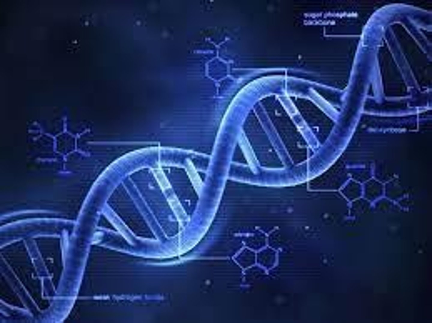 <p>Heritable traits are essential for natural selection as they determine which traits can be passed on to future generations.</p>