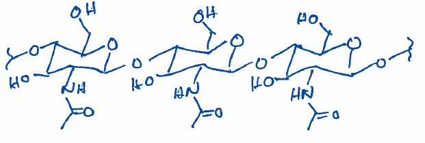 <p>crawfish and bugs</p>