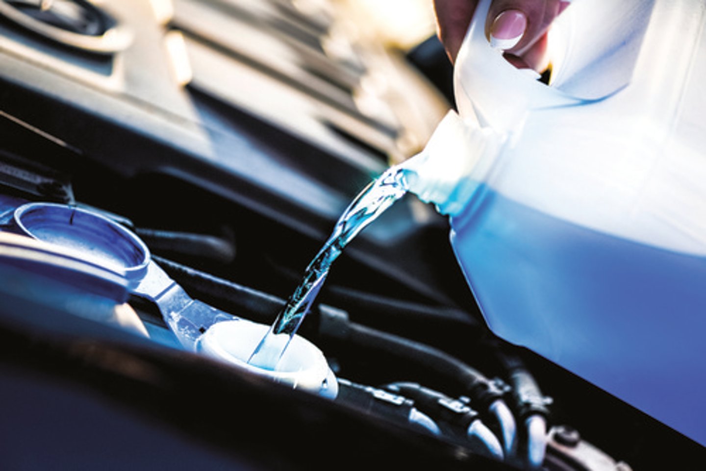 <p>antifreeze</p>