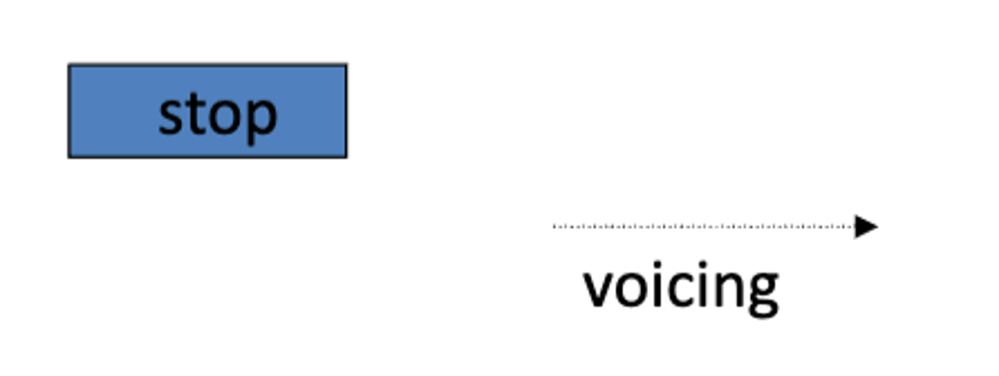 <p>German and English [p, t, k]</p>