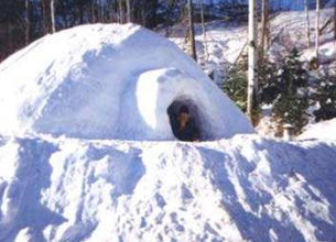 <p>house constructed of hard-packed snow blocks built up spirally</p>