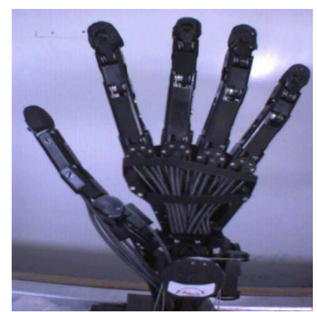 <p>Design, creation, and fitting of artificial limbs or devices to replace missing body parts</p>
