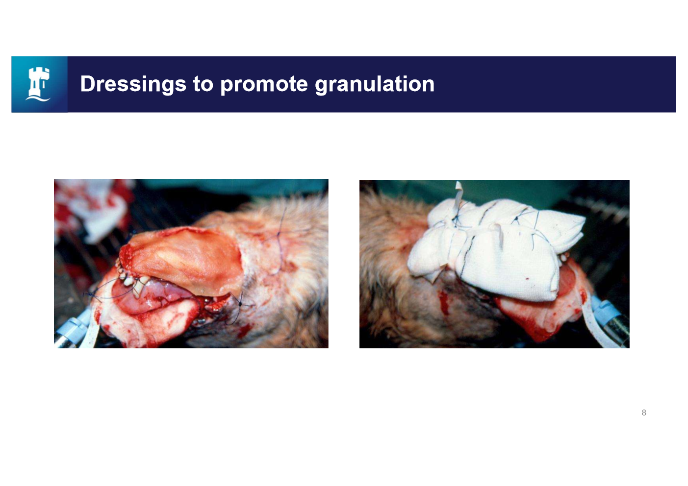 <p>after faraging what can be done to this wound</p>