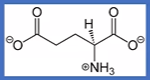 <p>-CH2CH2CO(O-);</p><p>E= gluEtamate ,Glu;</p><p>negative charged second carbonyl</p>