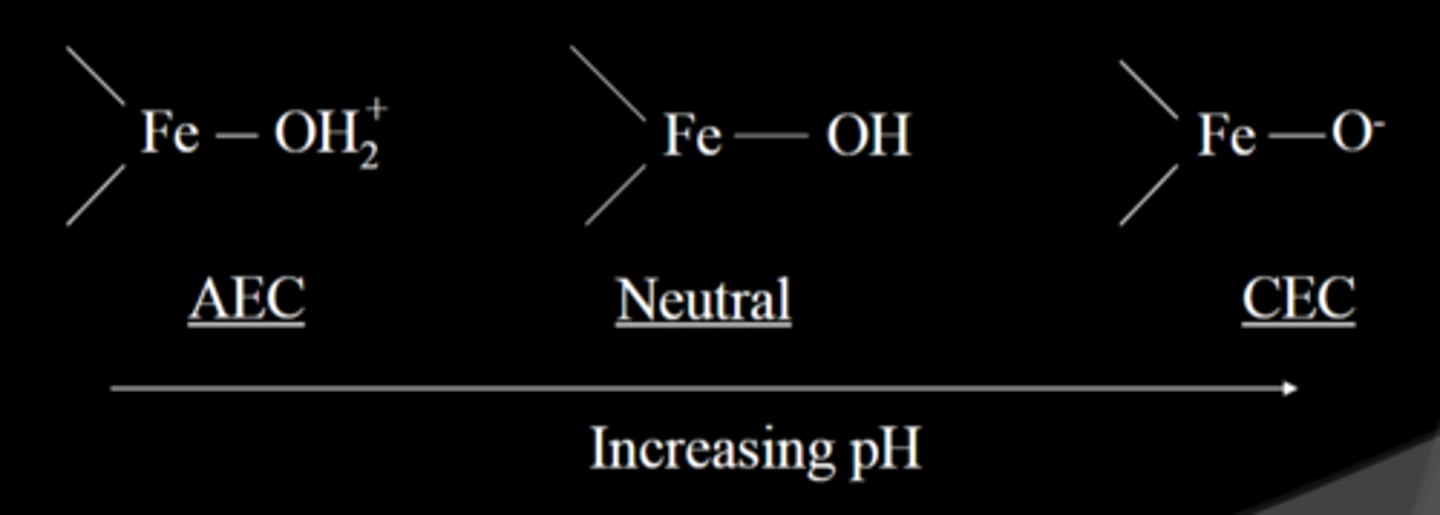 <p>Charge on colloids that arises from the protonation or deprotonation of the functional groups on colloid surfaces.</p><p>-associated H+ (low pH) neutralizes charge, while lack of H+ (high pH) gives negative charge</p><p>-occurs on Fe/Al oxides, humus, allophane, and the edges of 1:1 clays like kaolinite</p>