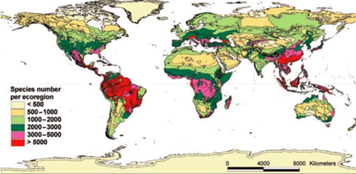 <p>Darwin noticed that different, yet ecologically similar, animal species inhabited separated, but ecologically similar, habitats around the globe.</p>