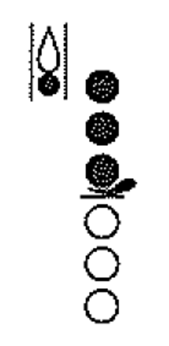 knowt flashcard image