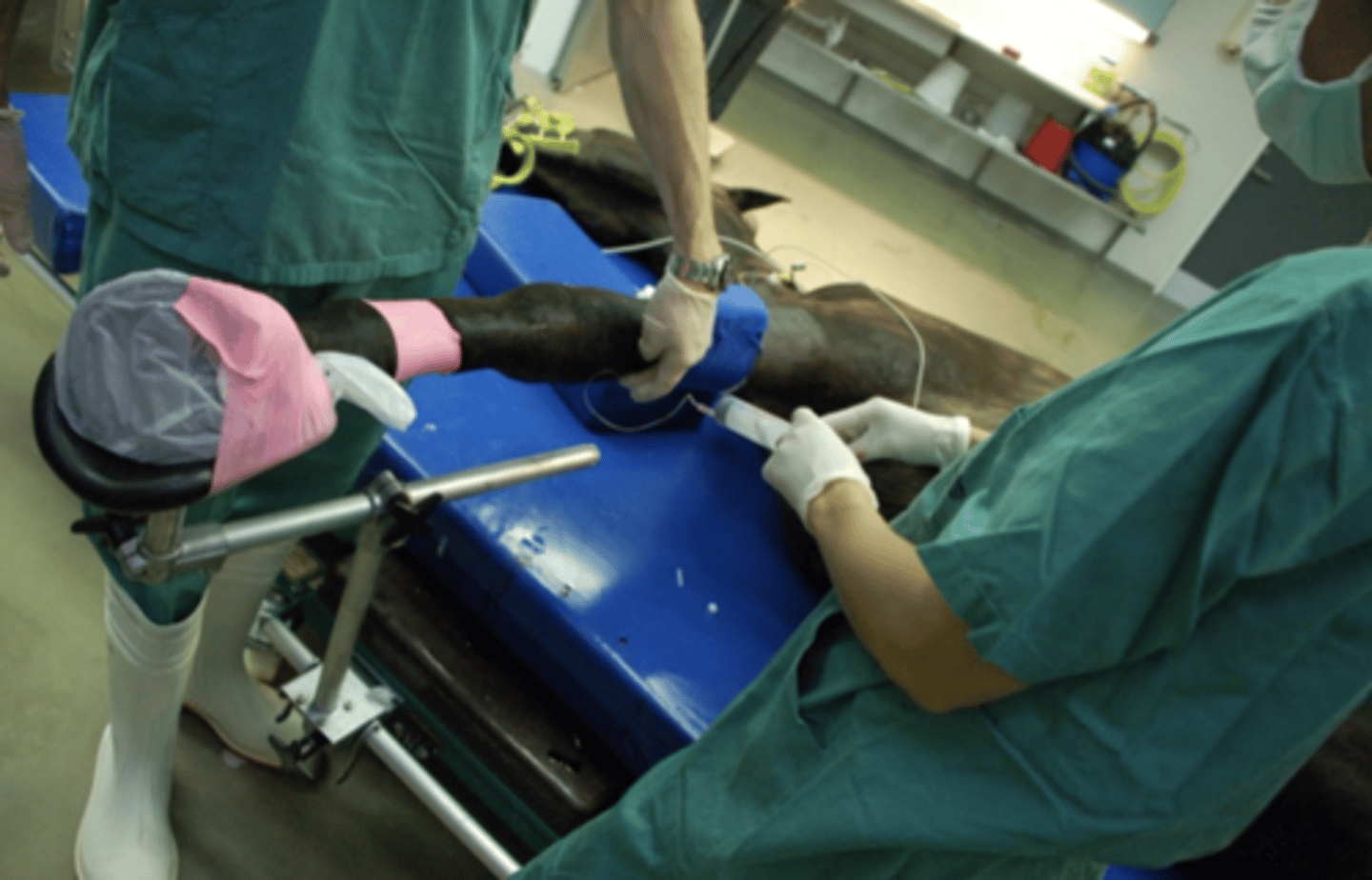 <p>Hvad er fordelen ved den på billedet viste applikationsform af antibiotika?</p><p>- Den kan udføres under anæstesi.</p><p>- Den minimerer patientens ubehag i forbindelse med antibiotikaindgift</p><p>- Der kan gives supraterapeutiske doser af antibiotika uden bivirkninger</p><p>- Den giver særligt høje koncentrationer af antibiotika i knogler og synovialstrukturer</p>