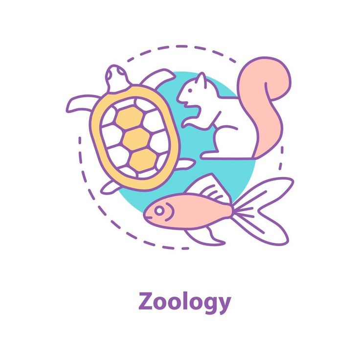 <p>Zoology</p>