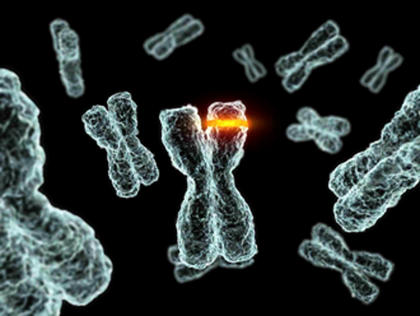 <p>A change in a DNA sequence.</p><p>-Leads to a lot of genetic variation in a population of a species.</p><p>-occur continuously</p><p>-rarely leads to a new phenotype</p><p>-may change an existing phenotype</p><p>-species may rapidly change if new phenotype is suited to the environment</p>