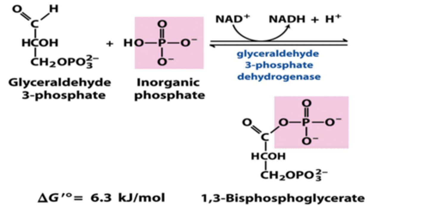 <p>Reactants: G-3-P + NAD+ + H(PO4)2-</p><p>Products: 1,3-Bisphosphoglycerate + NADH + H+</p><p>Enzyme: G-3-P dehydrogenase</p><p>Delta G: +6.3 kj/mol</p><p>Reversibility: Reversible</p>