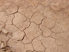 an unusually long period in which little or no rain falls