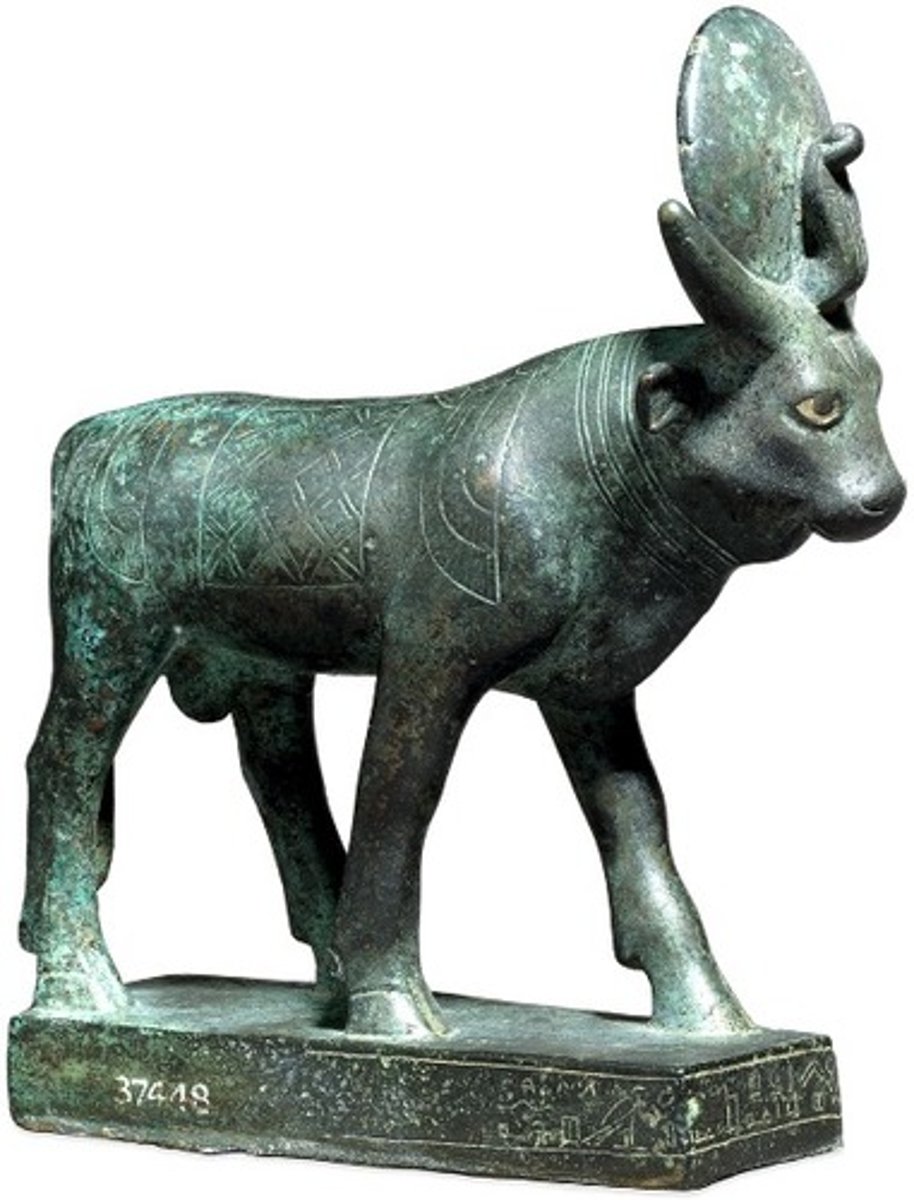 <p>-Apis is a sacred bull deity worshipped in ancient Egyptian religion, particularly associated with fertility, strength, and kingship.</p><p>-Apis was believed to be a manifestation of Ptah, the creator god of Memphis.</p><p>-He was usually depicted as a bull with specific markings, including a white diamond-shaped patch on his forehead and a scarab beetle mark on his tongue.</p><p>-Apis was housed in a special temple and received elaborate rituals and offerings during his lifetime. Upon death, he was mummified and buried with great ceremony.</p>