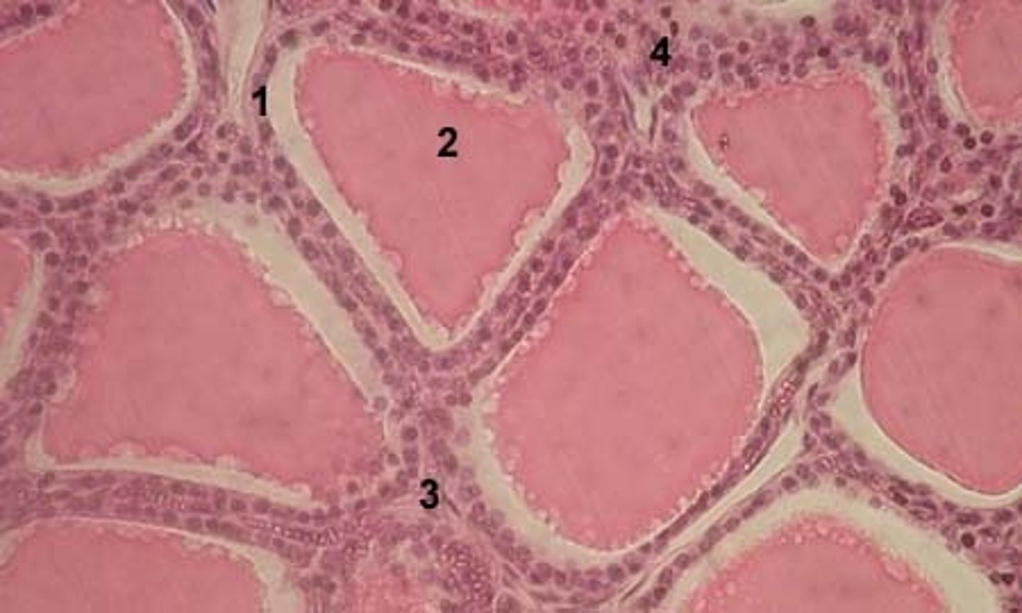 <p>What is #2?</p>