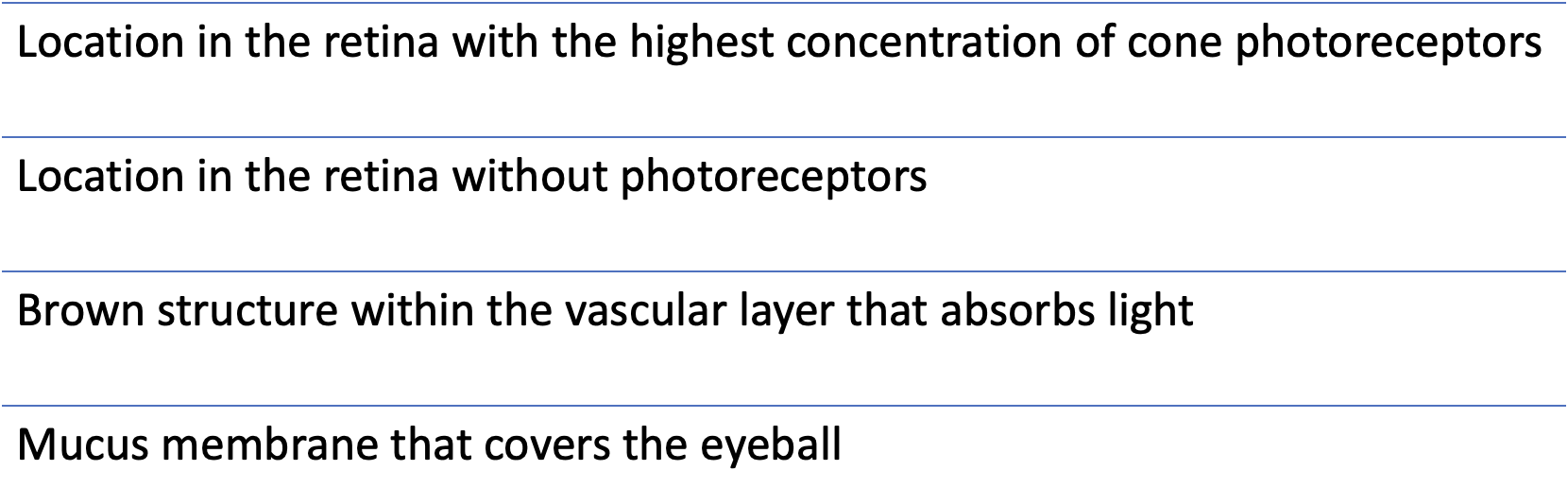 <p>Which best describes the blind spot?</p>